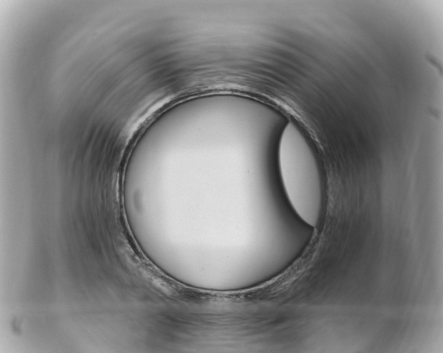X0000103310790200808291151