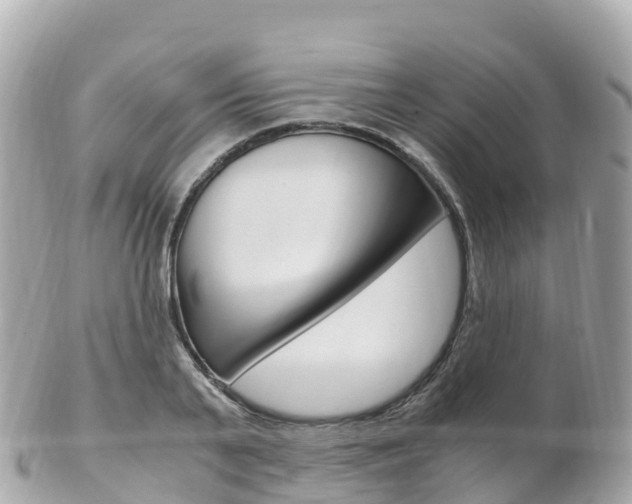 X0000103310791200808291151