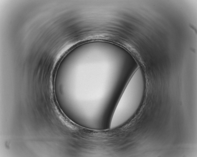 X0000103310792200808291151