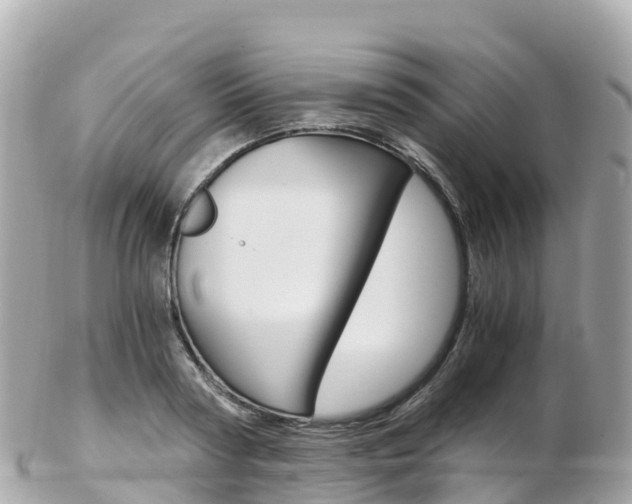 X0000103310794200808291151