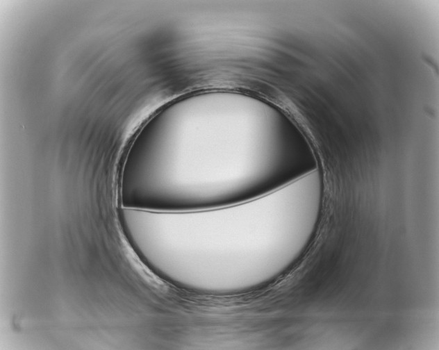 X0000103310795200808291151