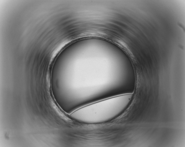 X0000103310796200808291151
