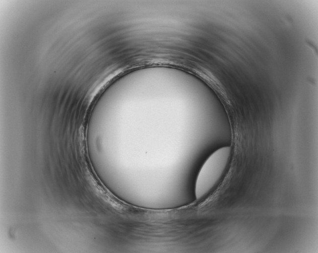 X0000103310798200808291151