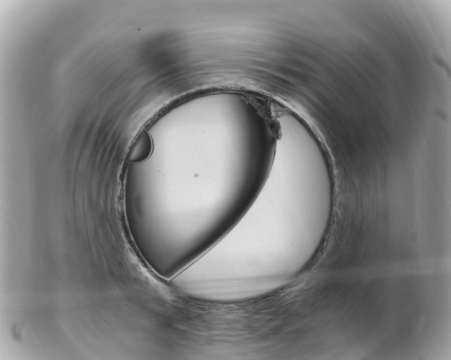 X0000103310799200808291151