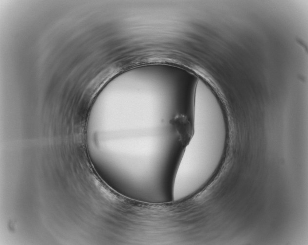 X0000103310801200808291151