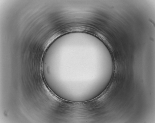 X0000103310802200808291151