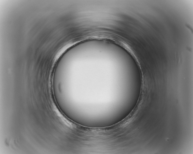 X0000103310803200808291151