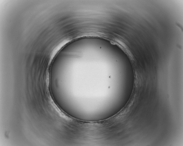 X0000103310804200808291151