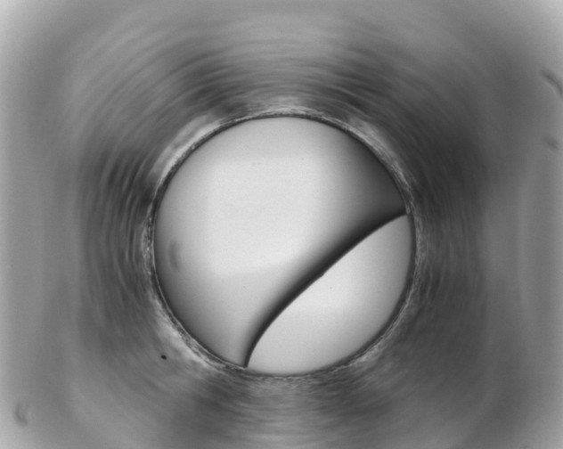 X0000103310806200808291151