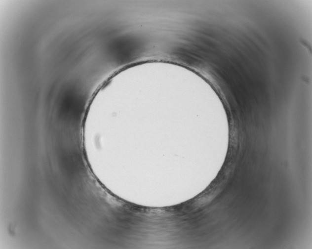 X0000103310807200808291151