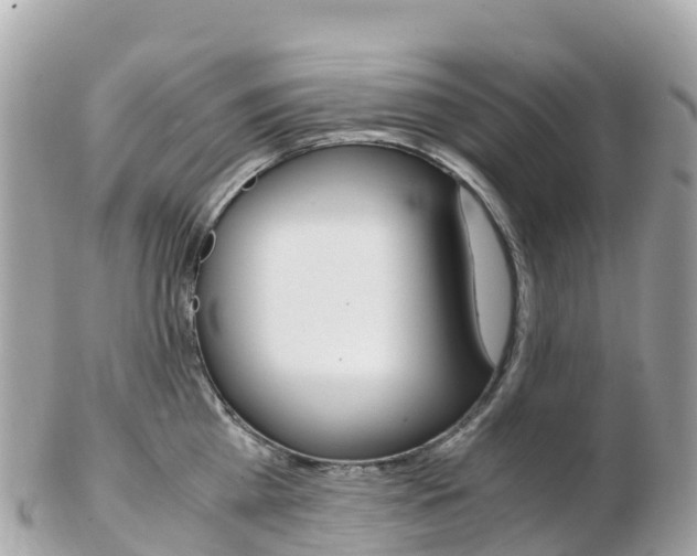 X0000103310809200808291151