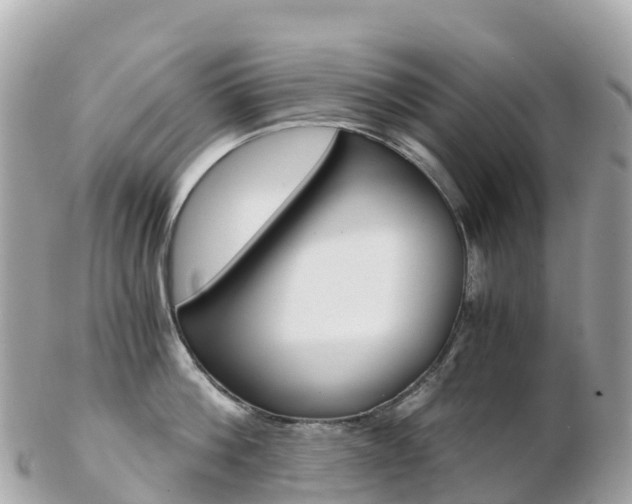 X0000103310812200808291151