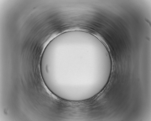 X0000103310813200808291151
