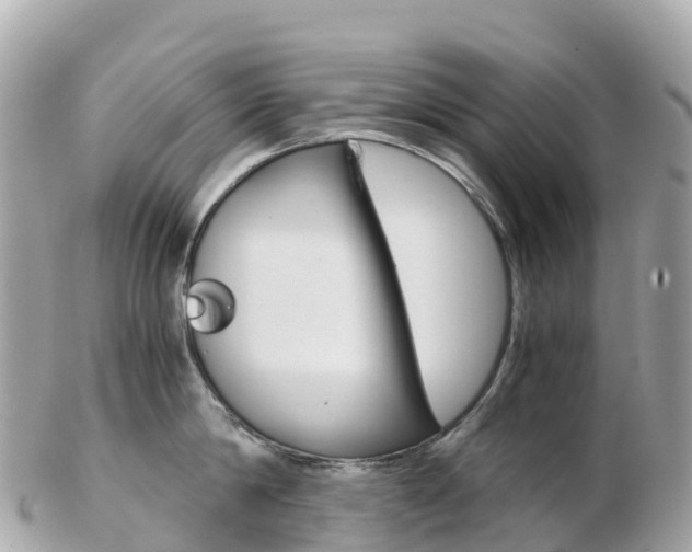 X0000103310814200808291151