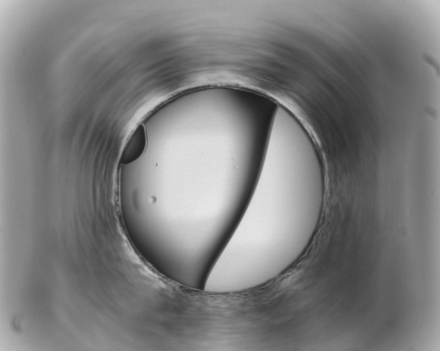 X0000103310815200808291151
