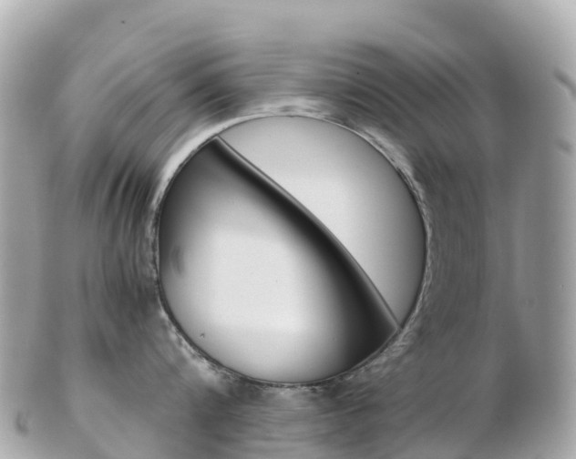 X0000103310816200808291151