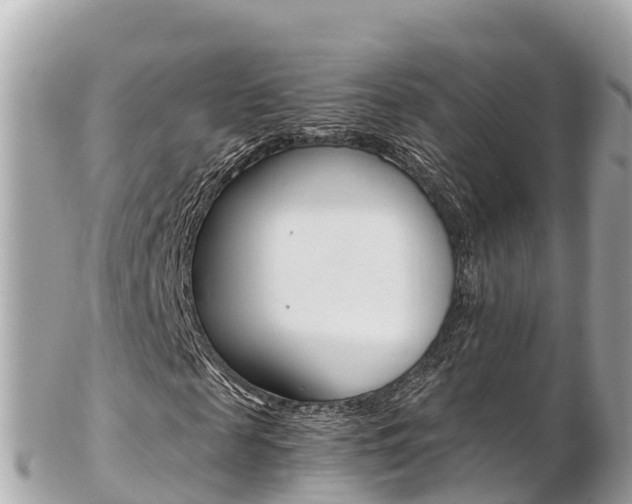 X0000103310817200808291150