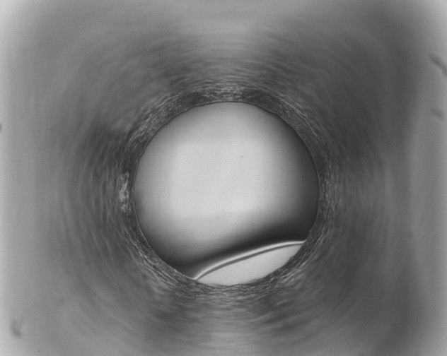 X0000103310818200808291150