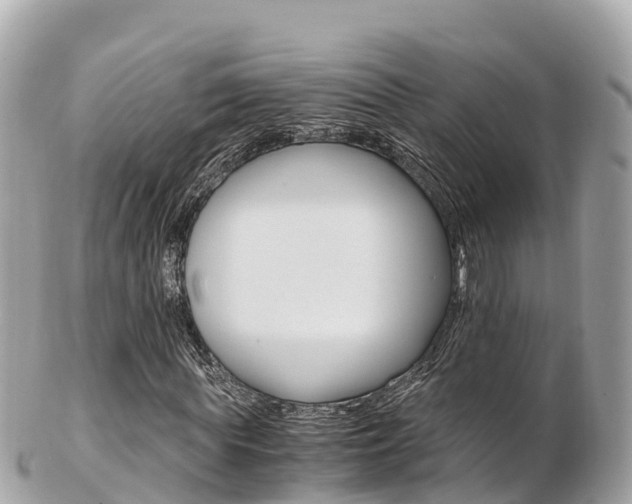 X0000103310819200808291150