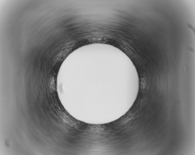 X0000103310820200808291150