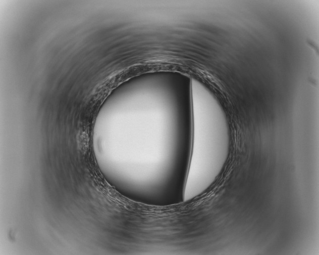 X0000103310821200808291150