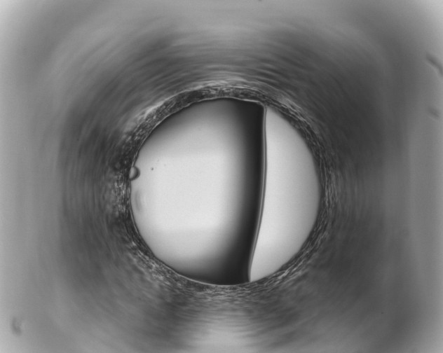 X0000103310822200808291150