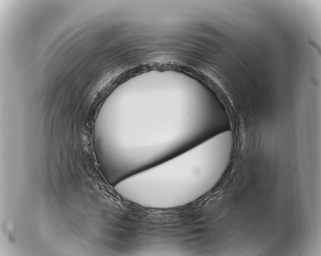 X0000103310823200808291150
