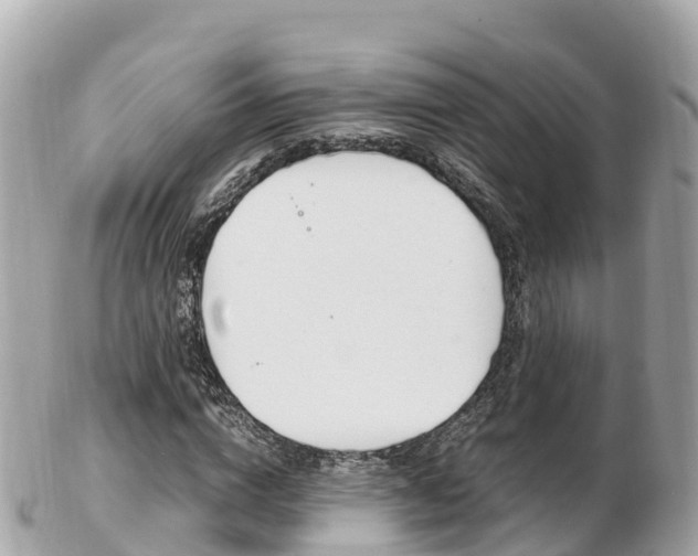 X0000103310824200808291150