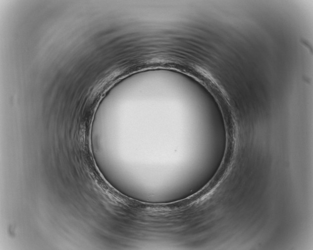 X0000103310825200808291150