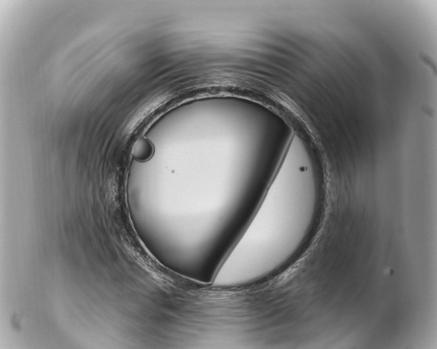 X0000103310826200808291150