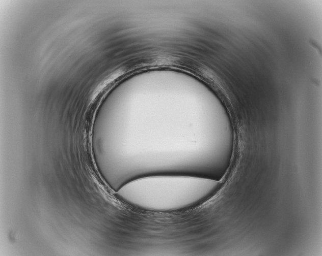 X0000103310827200808291150