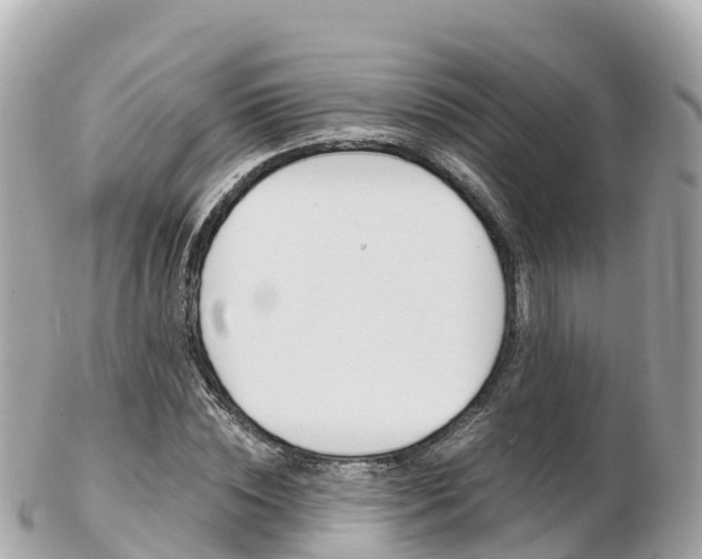X0000103310828200808291150