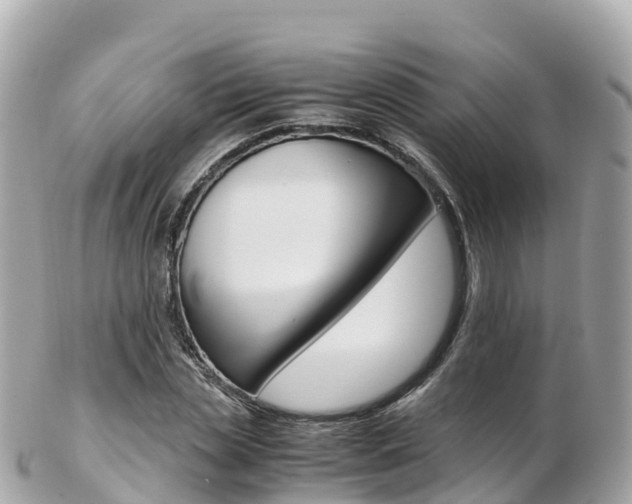X0000103310829200808291150