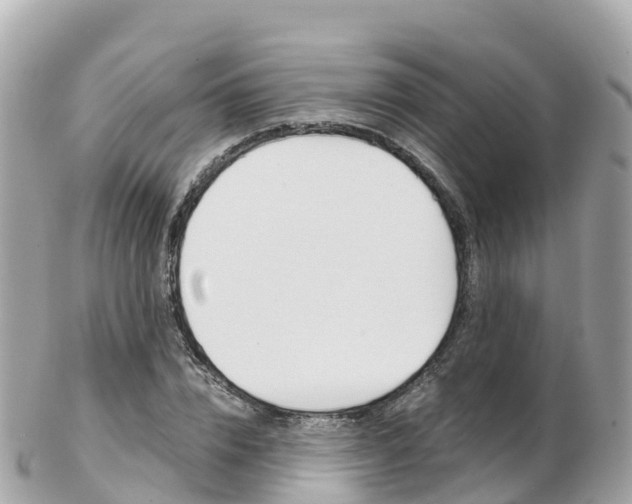 X0000103310832200808291150
