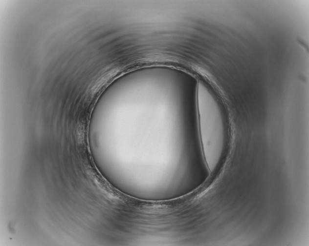 X0000103310833200808291150