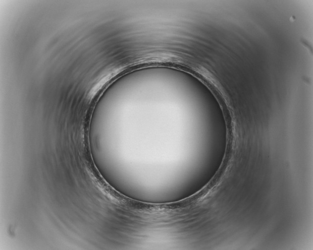 X0000103310834200808291150
