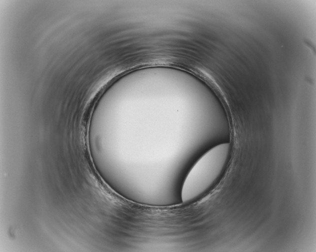 X0000103310835200808291150