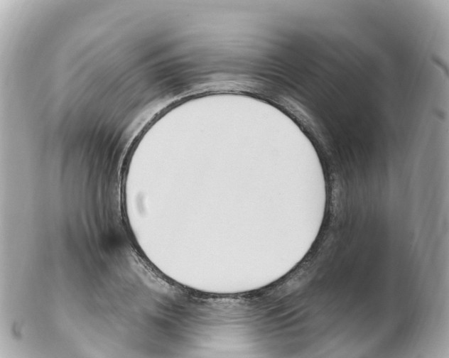X0000103310836200808291150