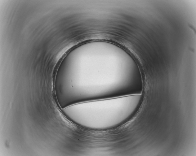 X0000103310837200808291150