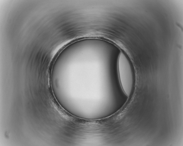 X0000103310838200808291150