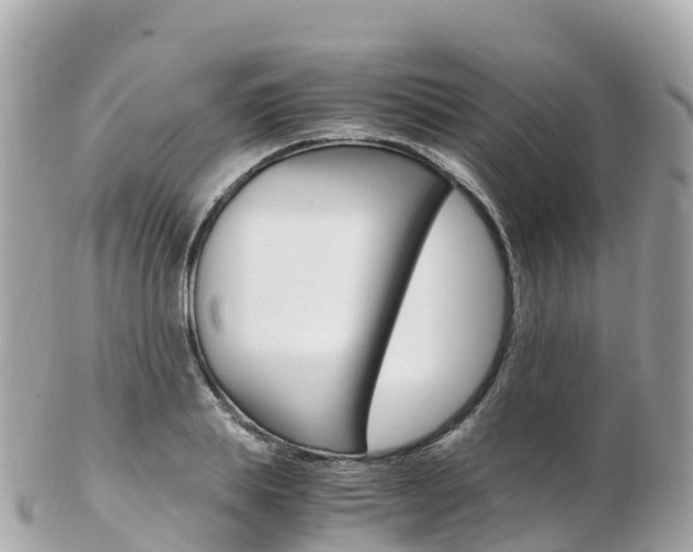 X0000103310839200808291150