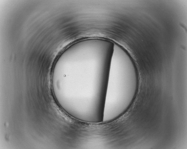 X0000103310840200808291150