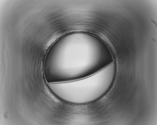 X0000103310842200808291150