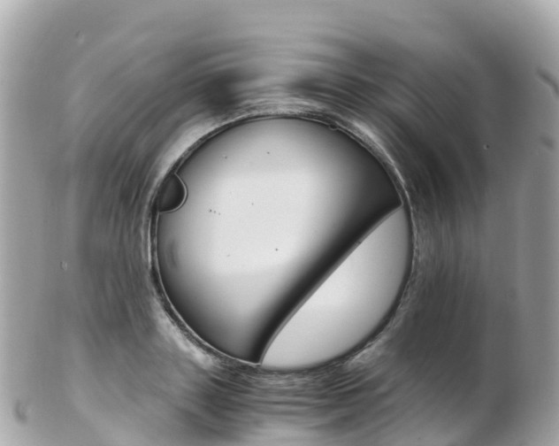 X0000103310843200808291150