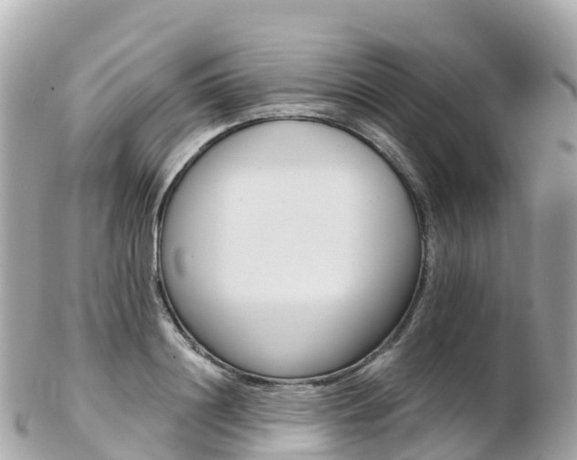 X0000103310844200808291150