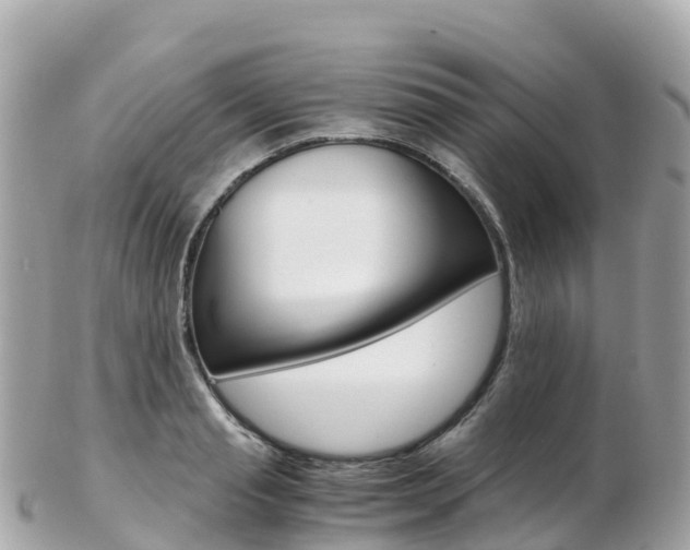 X0000103310845200808291150