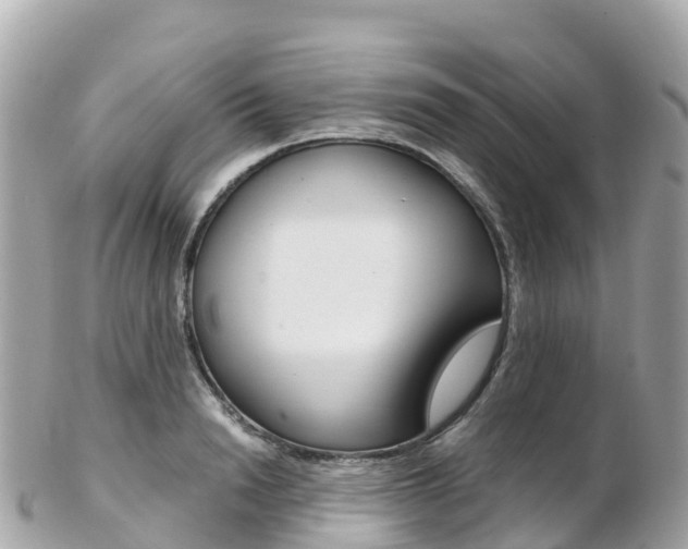 X0000103310846200808291150