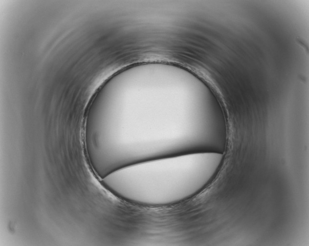 X0000103310847200808291150