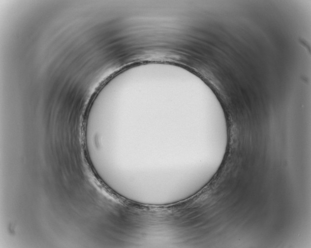 X0000103310848200808291150
