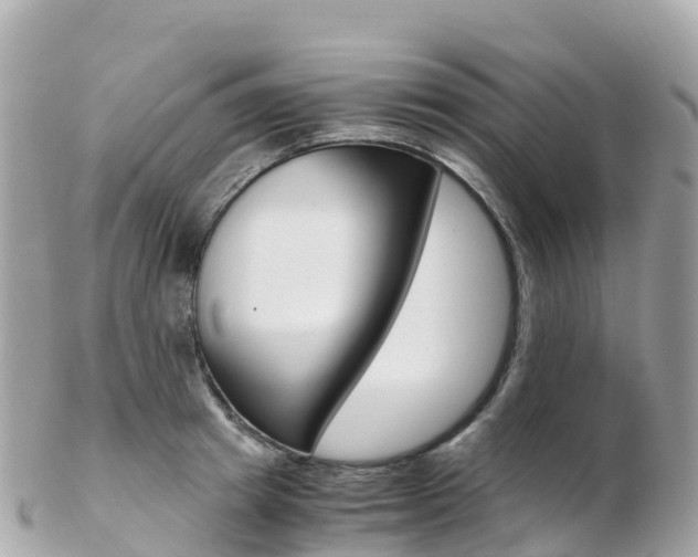 X0000103310849200808291151